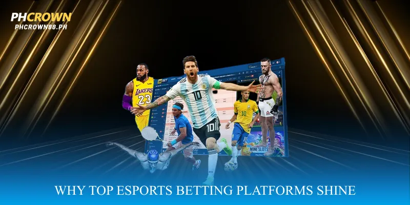 Why Top Esports Betting Platforms Shine