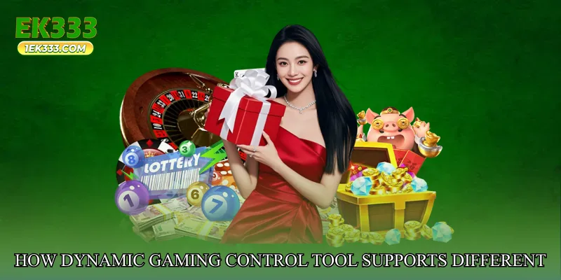 How Dynamic Gaming Control Tool Supports Different Player Needs
