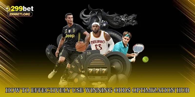 How to Effectively Use Winning Odds Optimization Hub