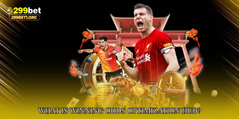 What is Winning Odds Optimization Hub?