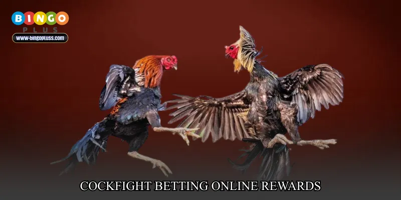 cockfight betting online rewards