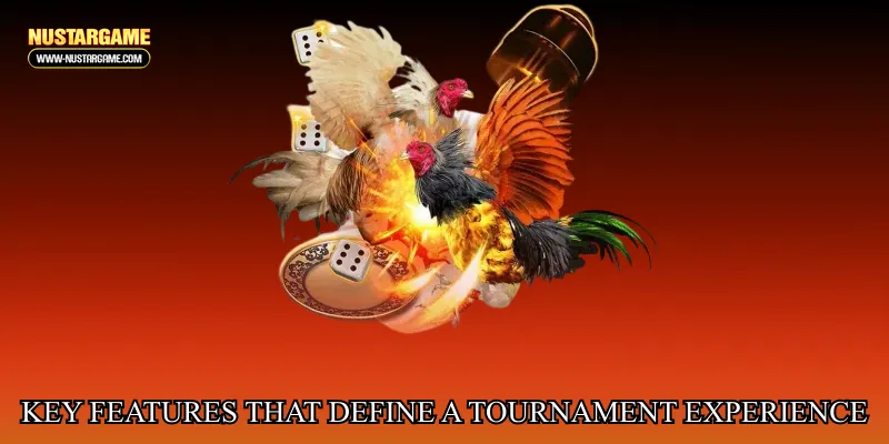 Key Features That Define a Tournament Experience