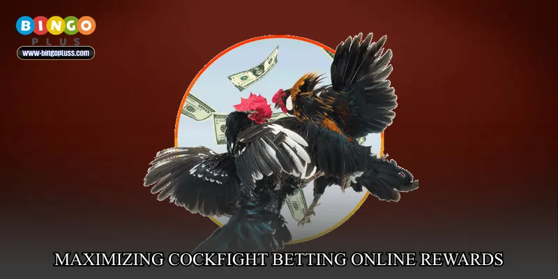 Maximizing Cockfight betting online rewards