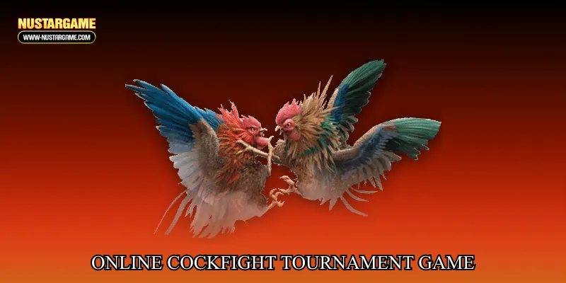 online cockfight tournament game