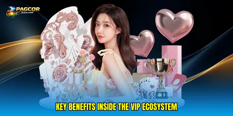 Key benefits inside the VIP ecosystem