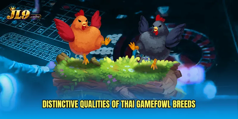 Distinctive qualities of Thai gamefowl breeds